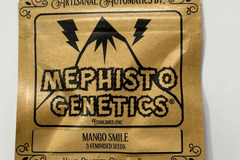 Sell: Mephisto Genetics - Mango Smile