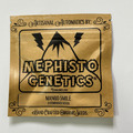 Vente: Mephisto Genetics - Mango Smile