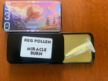 Sell: Miracle Burn REG POLLEN Mac1 x (Super Lemon Dawg x mac1)