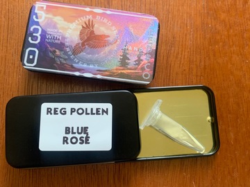 Venta: Blue Rosé REG Pollen