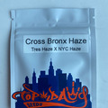 Venta: Top Dawg Seeds - Cross Bronx Haze (Tres Haze x NYC Haze)