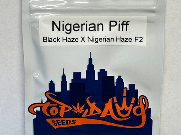Vente: Top Dawg Seeds - Nigerian Piff (Black Haze x Nigerian Haze F2)