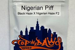 Sell: Top Dawg Seeds - Nigerian Piff (Black Haze x Nigerian Haze F2)