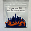 Venta: Top Dawg Seeds - Nigerian Piff (Black Haze x Nigerian Haze F2)
