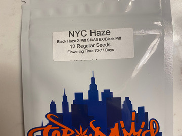 Venta: Top Dawg Seeds - NYC Haze