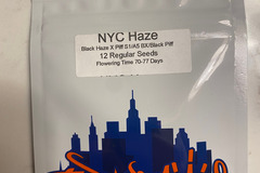 Vente: Top Dawg Seeds - NYC Haze