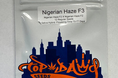 Vente: Top Dawg Seeds - Nigerian Haze F3