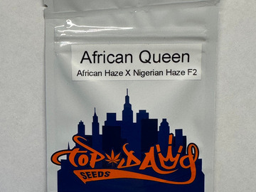 Sell: Top Dawg - African Queen (African Haze x Nigerian Haze F2)