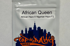 Vente: Top Dawg - African Queen (African Haze x Nigerian Haze F2)