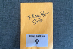 Vente: Mamiko Seeds - Chem Cookies (Fem)