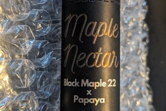 Sell: Maple Nectar (Black Maple x Papaya) - Bloom Seed Co