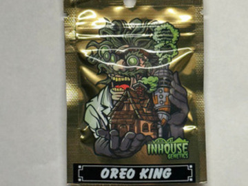 Sell: In House Genetics - Oreo King (Oreoz x King Sherb) 10 Fems