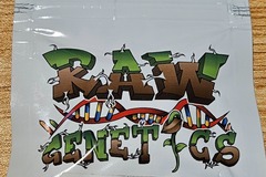 Vente: Raw Genetics Pecan Pie 12 seeds