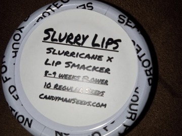 Sell: Candyman Seeds- Slurry Lips