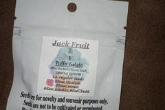 Sell: Raw Genetics- Jack Fruit