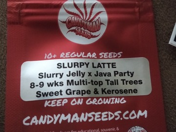 Vente: Candyman Seeds- Slurpy Latte