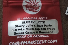 Vente: Candyman Seeds- Slurpy Latte