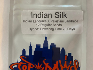 Sell: Top Dawg - Indian Silk (Indian Landrace x Pakistani Landrace)
