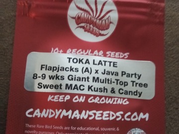 Sell: Candy Man Seeds - Toka Latte