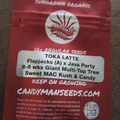 Vente: Candy Man Seeds - Toka Latte