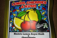 Vente: Strait A Genetics-  Lemon , Cherries, & Kush