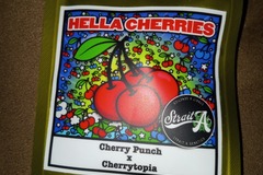 Sell: Hella Cherries