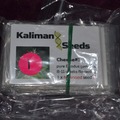 Venta: Kaliman Seeds, "Cheese #1, 1 x Feminised Seed.