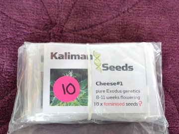 Vente: Kalimans Seeds "Cheese #1", 10 x Feminised Seeds.