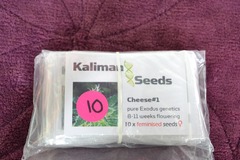 Vente: Kalimans Seeds "Cheese #1", 10 x Feminised Seeds.