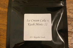 Sell: Seed Junky - Ice Cream Cake x Kush Mints