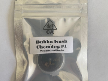 Sell: Humboldt CSI - Bubba Kush x Chem1