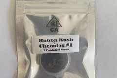 Sell: Humboldt CSI - Bubba Kush x Chem1