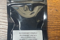 Vente: Strayfox Blueberry Angels Blueberry x Hells Angels Og