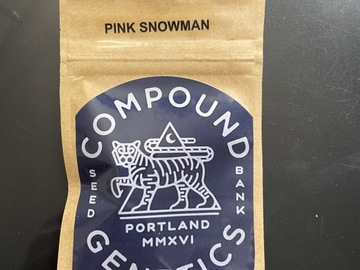 Sell: Pink Snowman- Compound Genetics