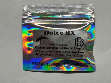 Sell: Bloom Seed Co - Dulce Bx (Dulce De Uva x Black Maple)
