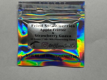 Vente: Bloom Seed Co - Fried Strawberries (Apple Fritter x StrawGuava)