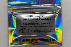 Vente: Bloom - Klumps (09 Animal Cookies x Strawberry Guava)