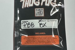 Vente: Thug Pug Genetics - Peanut Butter Breath Bx