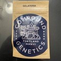 Sell: Gelateria- Compound Genetics