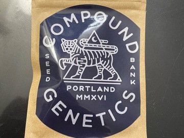 Sell: Powdered Donuts - Compound Genetics