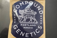 Vente: Powdered Donuts - Compound Genetics