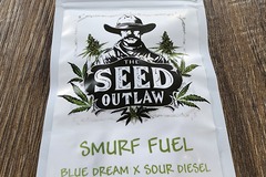 Sell: Smurf Fuel ⛽️  Blue Dream X Sour Diesel by The Seed Outlaw