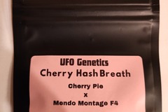 Auction: "Cherry Hash Breath" Breeder: UFO Genetics