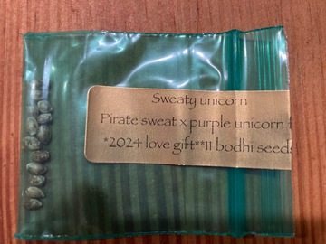Vente: Bodhi - sweaty unicorn (pirate sweat x purple unicorn)