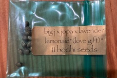 Sell: Bodhi - ‘big j x jopa x lavender lemonade’