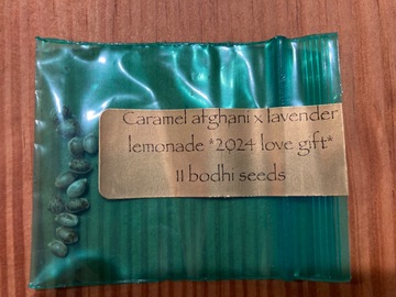 Venta: Bodhi - Caramel afghani x lavender lemonade