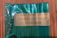 Sell: Bodhi - Caramel afghani x lavender lemonade