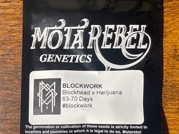 Vente: Mota Rebel Blockwork Blockhead x Herijuana