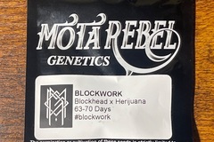 Vente: Mota Rebel Blockwork Blockhead x Herijuana