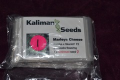 Venta: Kaliman Seeds, "Marleys Cheese", 1 x Feminised Seed.